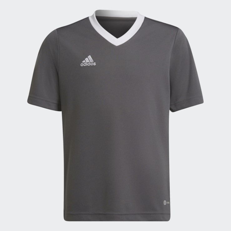 Entrada 22 Camiseta Adidas Gris
