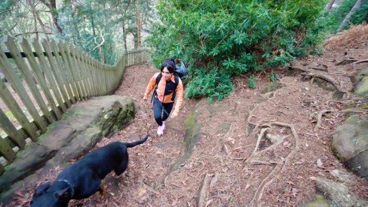 Zapatillas Adidas Terrex Freehiker 2 Bca Lila