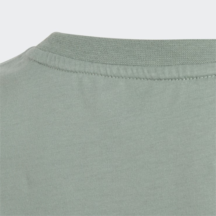Camiseta Adidas Adicolor Verde Plata