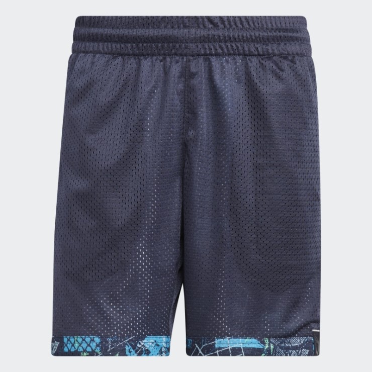 Dame D.o.l.l.a. Pantalones Cortos Adidas Multicolor