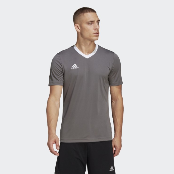 Camiseta Gris Entrada 22 Adidas