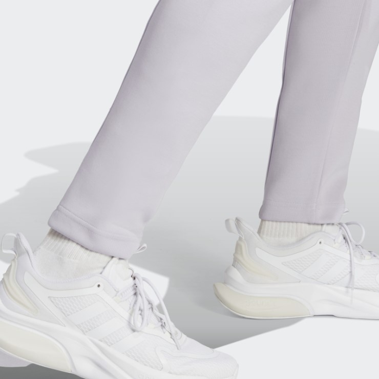 Iconos Del Futuro Insignia Del Deporte Joggers Adidas Silver Sunrise