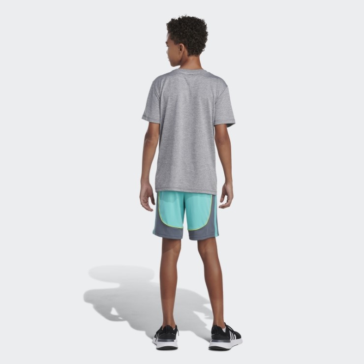 Pantalones Cortos Adidas Creator Mint Rush