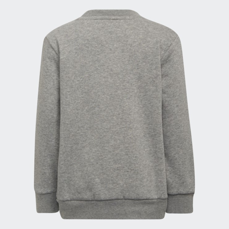 Conjunto Técnico Adicolor Gris Medio Adidas