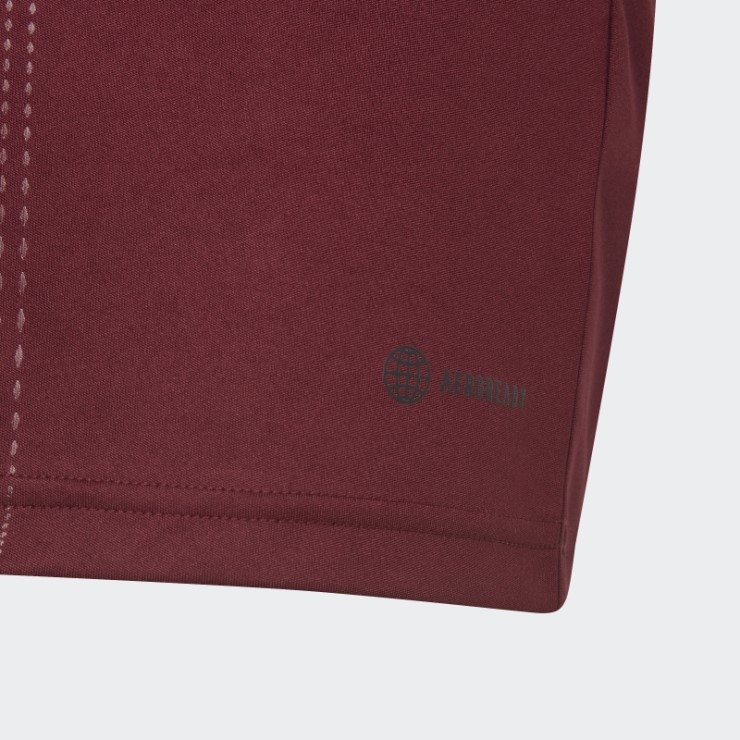 Camiseta Adidas Fc Bayern 22/23 Wiesn Rojo