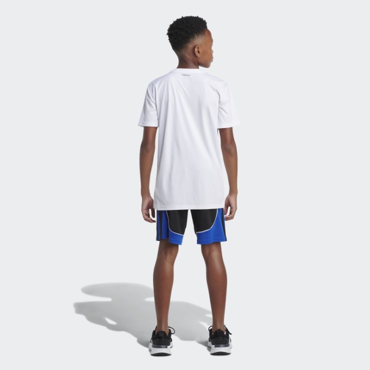 Pantalones Cortos Creator Negro Azul Adidas