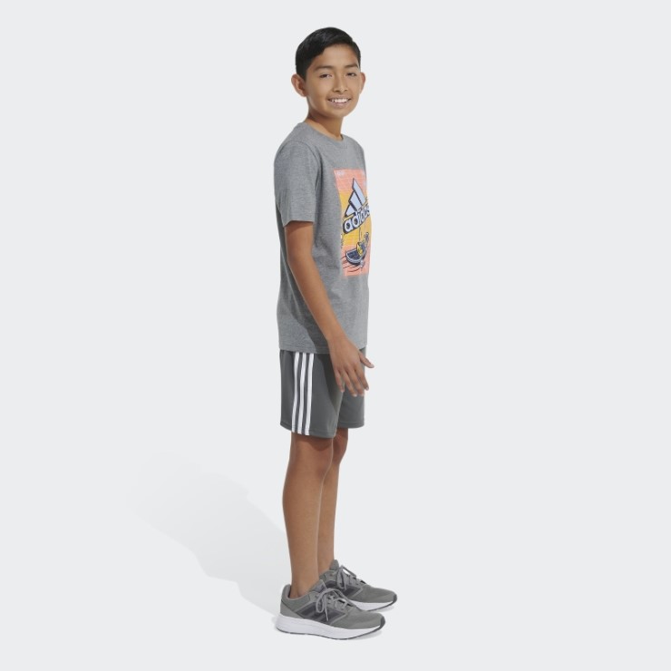 Camiseta Gris Medio Adidas Heather Skater Badge Of Sport