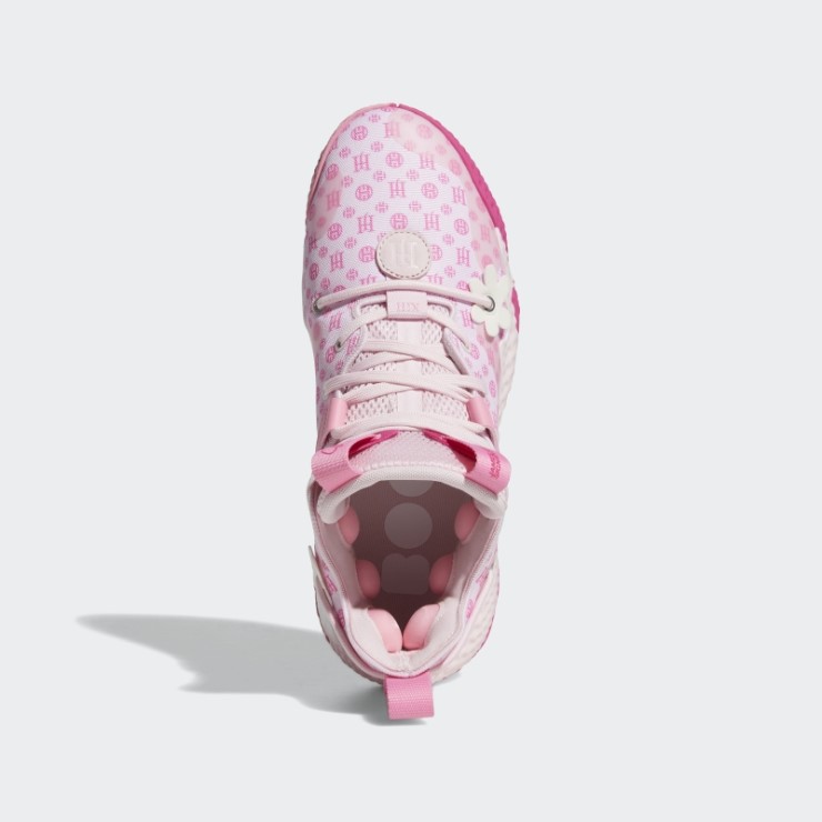 Adidas Harden Vol. 6 Zapatos Rosa