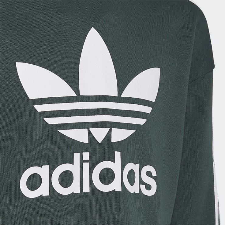 Adidas Sudadera Corta Con Capucha Verde Mineral Adicolor