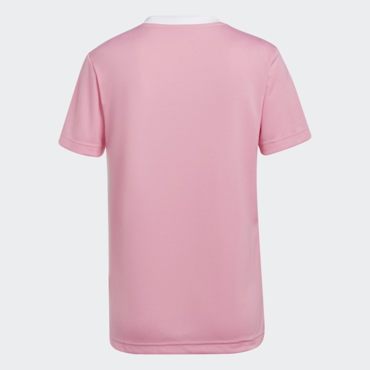 Camiseta Adidas Entrada 22 Rosa Brillo