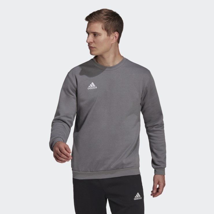 Sudadera Entrada 22 Gris Adidas