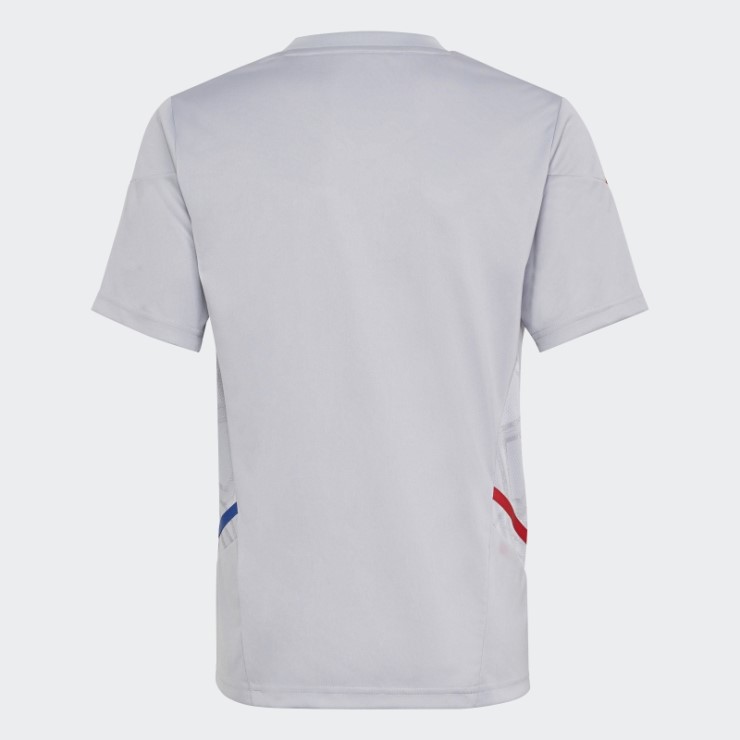 Camiseta De Entrenamiento Olympique Lyonnais Condivo 22 Plata Adidas Caliente